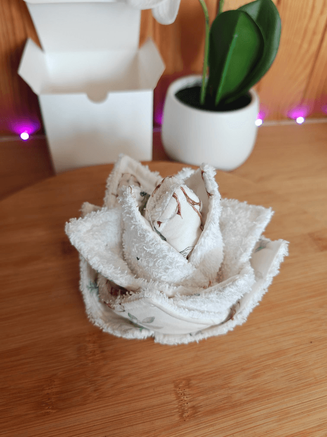 Lotus fleur de coton 